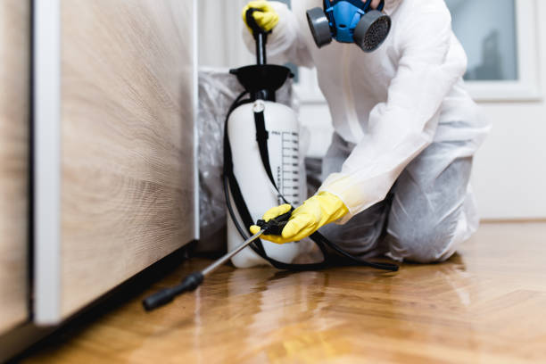 Best Emergency Pest Control  in Chanute, KS