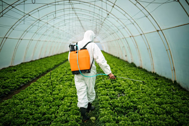 Best Affordable Pest Control Services  in Chanute, KS