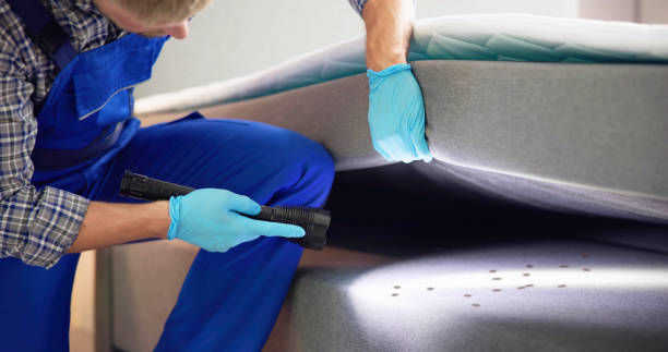 Best Pest Control for Restaurants  in Chanute, KS