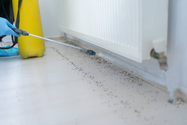 Best Affordable Pest Control Services  in Chanute, KS