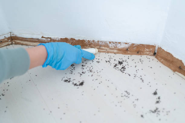 Best Best Pest Control Companies  in Chanute, KS